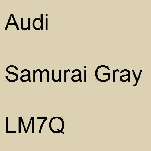 Audi, Samurai Gray, LM7Q.